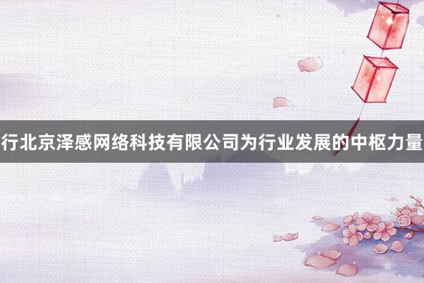 行北京泽感网络科技有限公司为行业发展的中枢力量