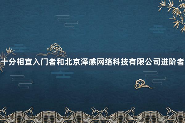 十分相宜入门者和北京泽感网络科技有限公司进阶者